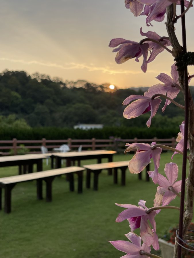 戶外庭園