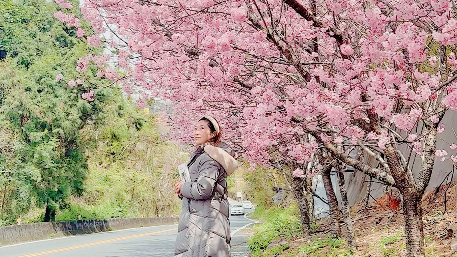 清境眷戀山城  Cingjing B&B 圖片